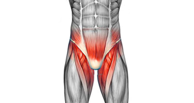 Hip & Groin Pain